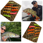 2x Moby Softbaits Germany Lohmöller's Tube - Tubi 6,5 cm Wild Mix 10 Stück DICK BARSCH GARANT