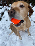 Moby Dog Ball , frei von giftigen Weichmachern und giftigen Inhaltsstoffen