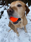 Moby Dog Ball , frei von giftigen Weichmachern und giftigen Inhaltsstoffen